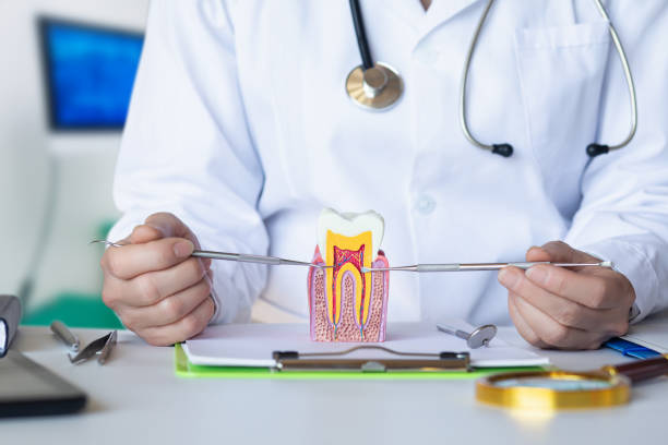Best Broken or Chipped Tooth Repair in Benton City, WA